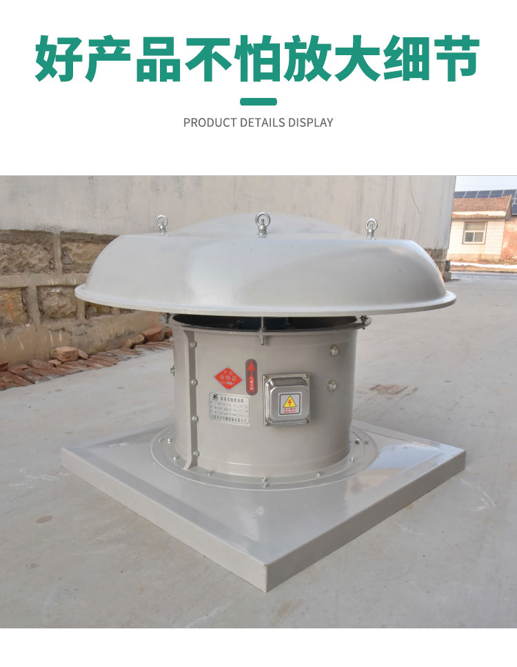 DWT玻璃钢屋顶风机(图7)