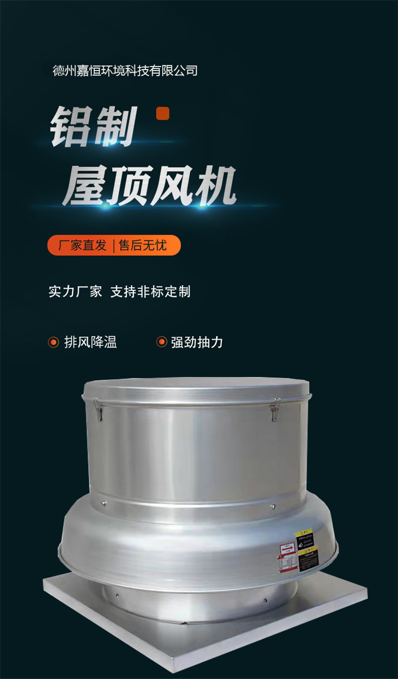 全铝制屋顶风机(图1)