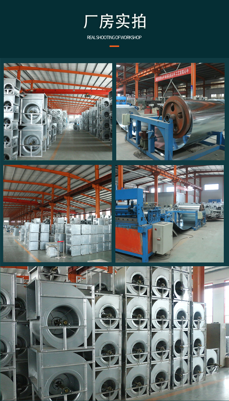 全铝制屋顶风机(图11)